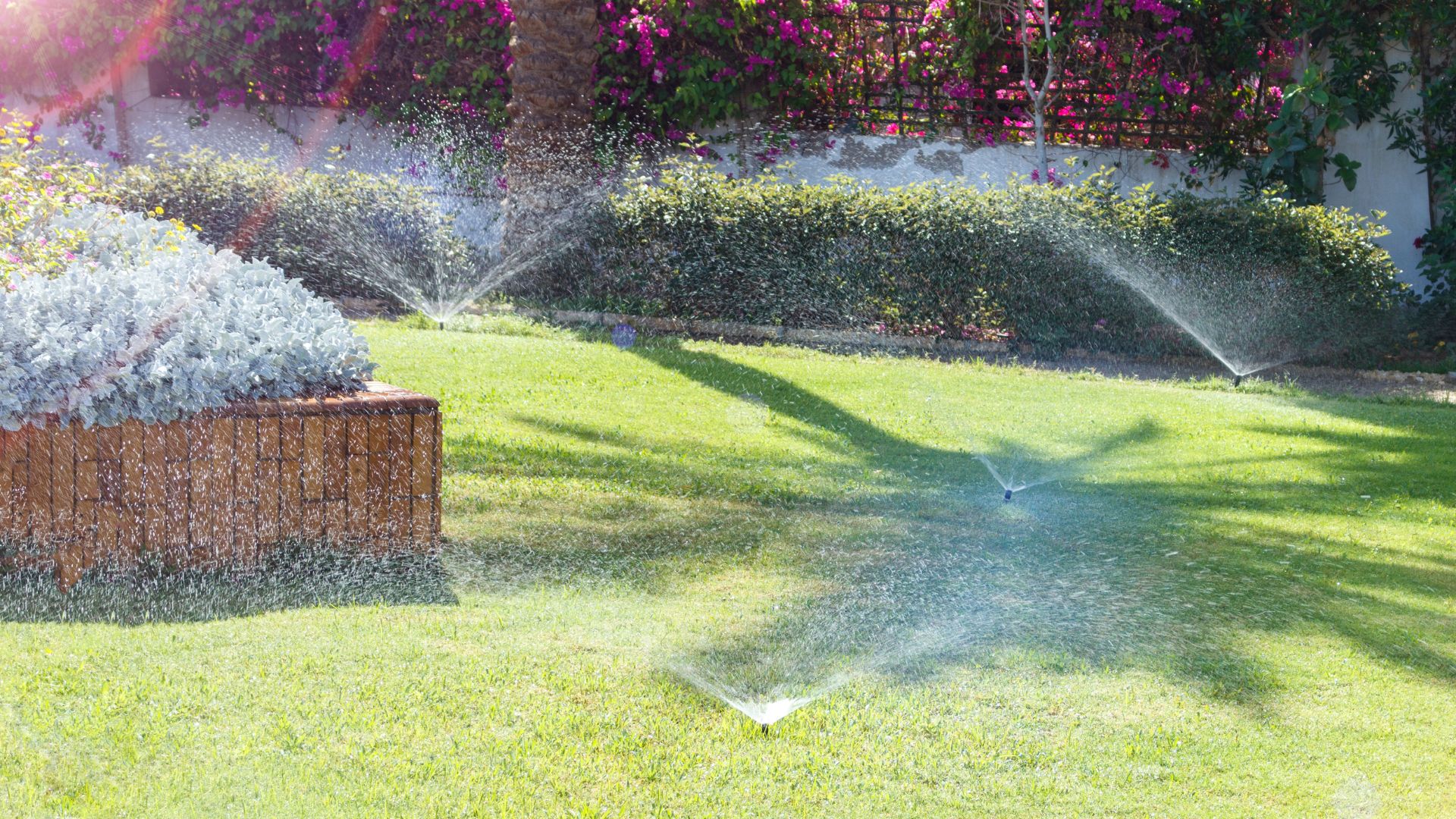 A lawn being watered with sprinklers.