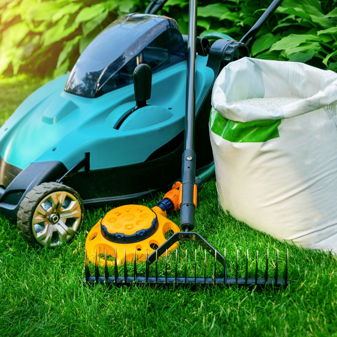 4 Misconceptions About Lawn Care-image4