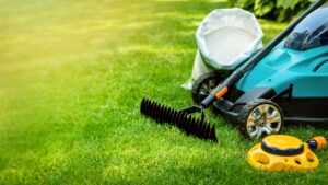 Gardening and lawn care tools in green grass.