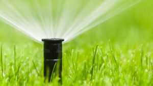 Sprinkler watering a bright green lawn.