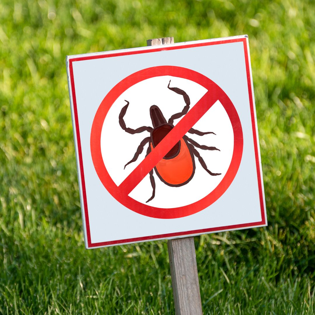 No bugs sign in a lawn.