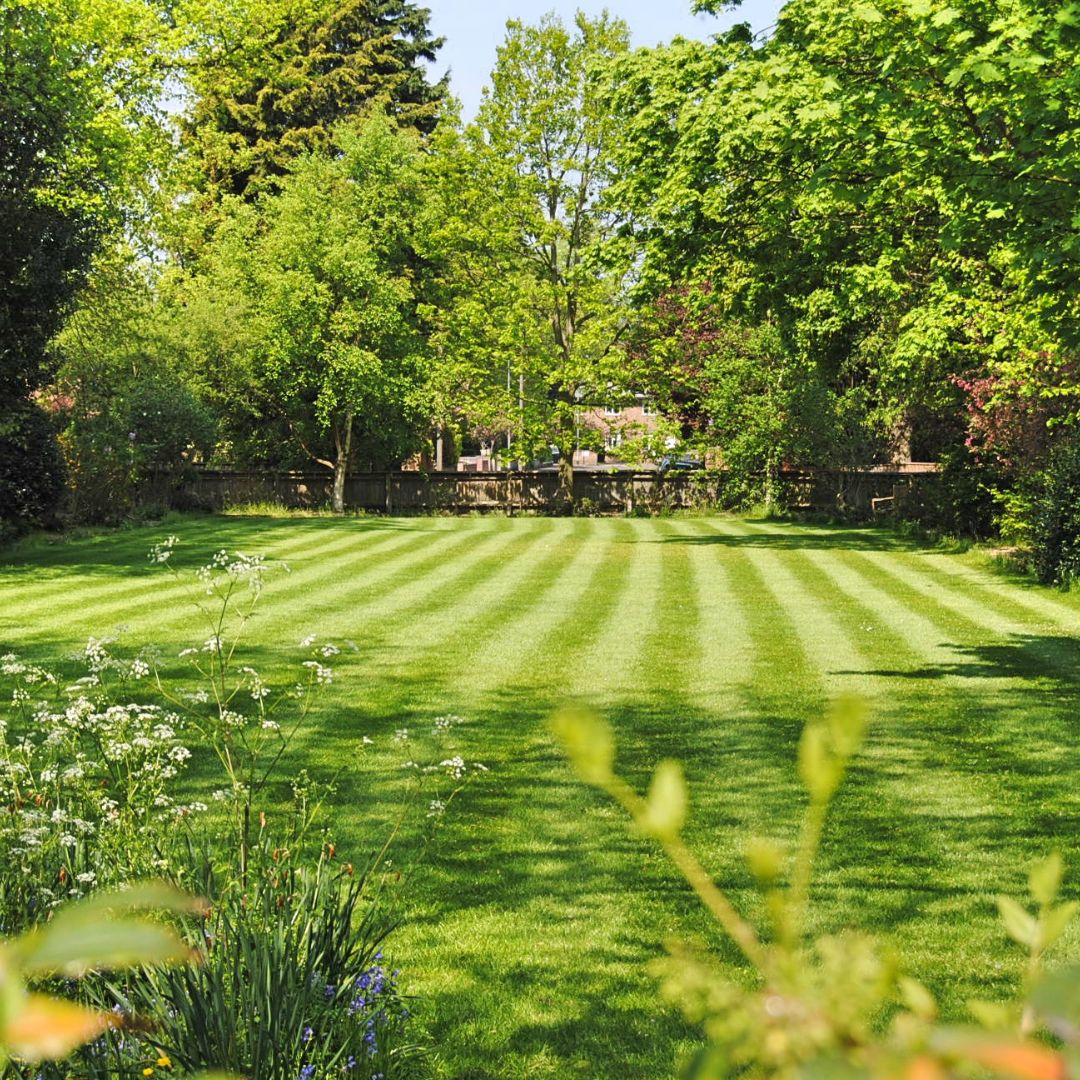 img of a lawn
